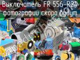 Выключатель FR 556-R24