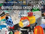 Переключатель W0-NEF30-TPA 2X2Y S 