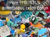 Реле PMB01CM24