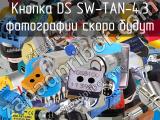 Кнопка DS SW-TAN-4.3 