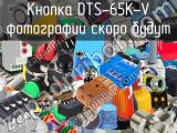 Кнопка DTS-65K-V