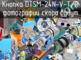 Кнопка DTSM-24N-V-T/R