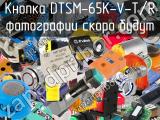 Кнопка DTSM-65K-V-T/R 