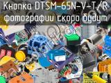 Кнопка DTSM-65N-V-T/R 