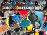 Кнопка DTSMW-66N-V-T/R 