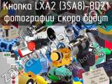 Кнопка LXA2 (3SA8)-BD21 