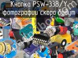 Кнопка PSW-33B/Y 