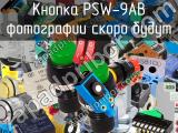 Кнопка PSW-9AB 