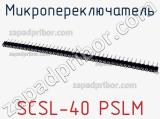 Микропереключатель SCSL-40 PSLM фотография 3.