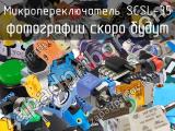 Микропереключатель SCSL-35 