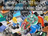 Тумблер STM-101 on-off