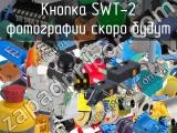 Кнопка SWT-2 