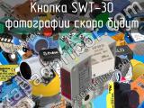 Кнопка SWT-30