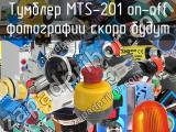 Тумблер MTS-201 on-off 