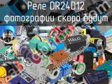 Реле DR24D12 