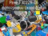 Реле F30229-06