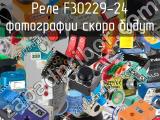 Реле F30229-24