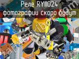 Реле RYII024 