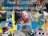 Реле RZ011A4D024