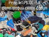 Реле WGMODC-5A 