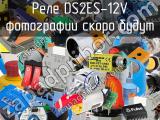 Реле DS2ES-12V 