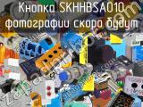 Кнопка SKHHBSA010 