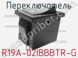 Переключатель R19A-02IBBBTR-G 