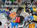 Реле G6K-2PY24DC 