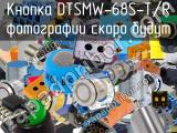 Кнопка DTSMW-68S-T/R