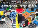 Кнопка DTSM-644K-V-T/R 