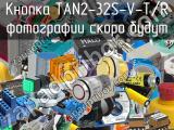 Кнопка TAN2-32S-V-T/R