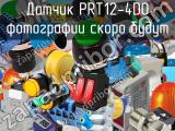 Датчик PRT12-4DO