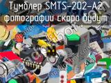 Тумблер SMTS-202-A2 