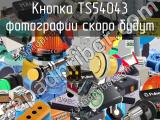 Кнопка TS54043 