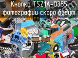 Кнопка TSZ1A-0385 