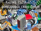 Кнопка TSZ1A-0535 