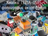 Кнопка TSZ1A-0585 