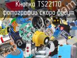Кнопка TS22170 