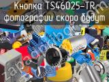 Кнопка TS46025-TR 
