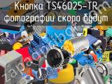 Кнопка TS46025-TR