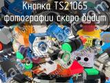 Кнопка TS21065 