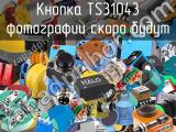 Кнопка TS31043