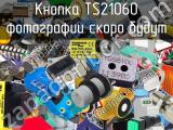 Кнопка TS21060 