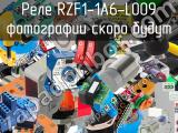 Реле RZF1-1A6-L009 