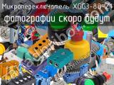 Микропереключатель XGG3-88-Z1