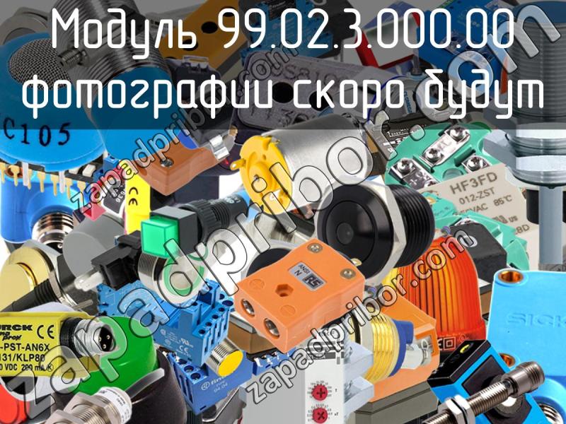 Модуль 99.02.3.000.00 фотография.
