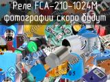 Реле FCA-210-1024M 