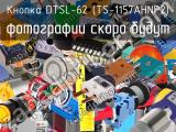 Кнопка DTSL-62 (TS-1157AHNP2) 