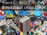 Кнопка DTS-644 (TS-06V-THP) 