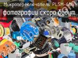 Микропереключатель PLSM-68N 